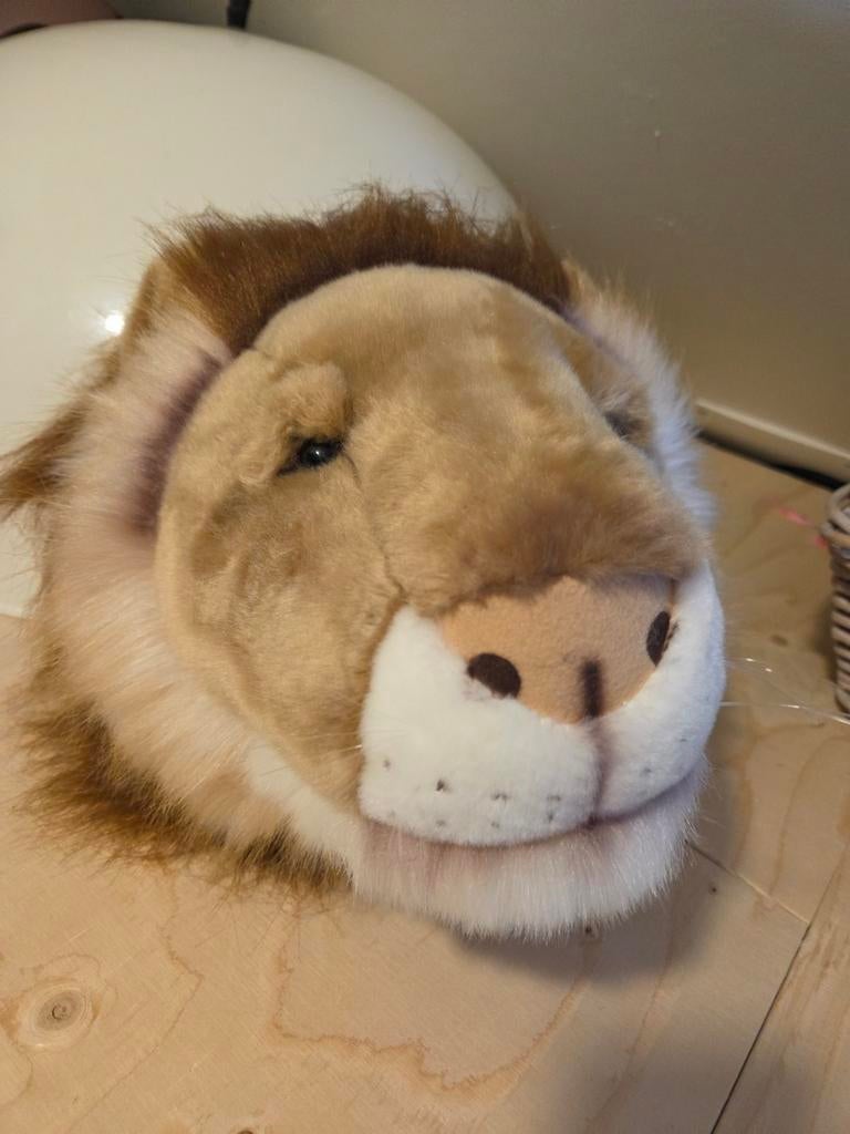 Grote Leeuwenkop Knuffel wandmodel, Overige merken, Overige karakters, Ophalen of Verzenden, Zo goed als nieuw