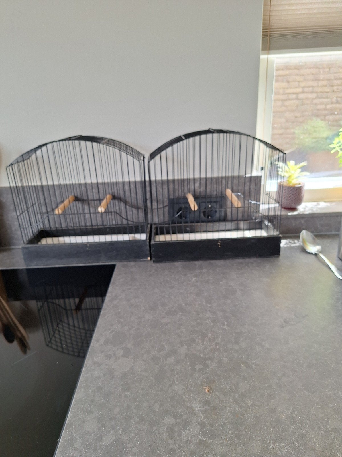 Tentoonstellingskooien 2x, Dieren en Toebehoren, Ophalen of Verzenden, Hout, Vogelkooi