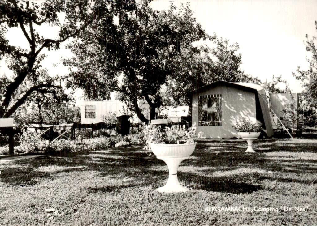 Bergambacht - Camping - De Nes, Ophalen of Verzenden, 1960 tot 1980, Ongelopen, Zuid-Holland