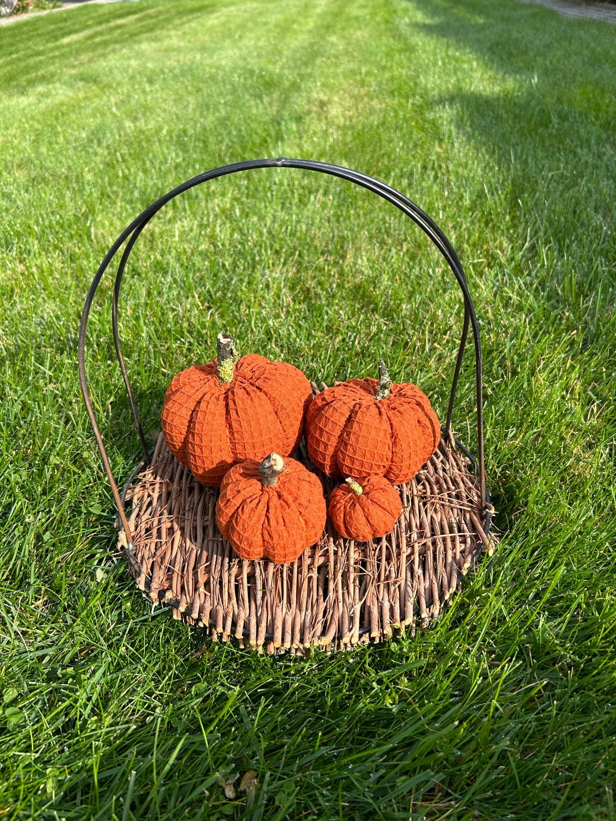 Decoratieve pompoenen in mand - Herfstdecoratie, Ophalen of Verzenden, Oranje, Textiel, Landelijk