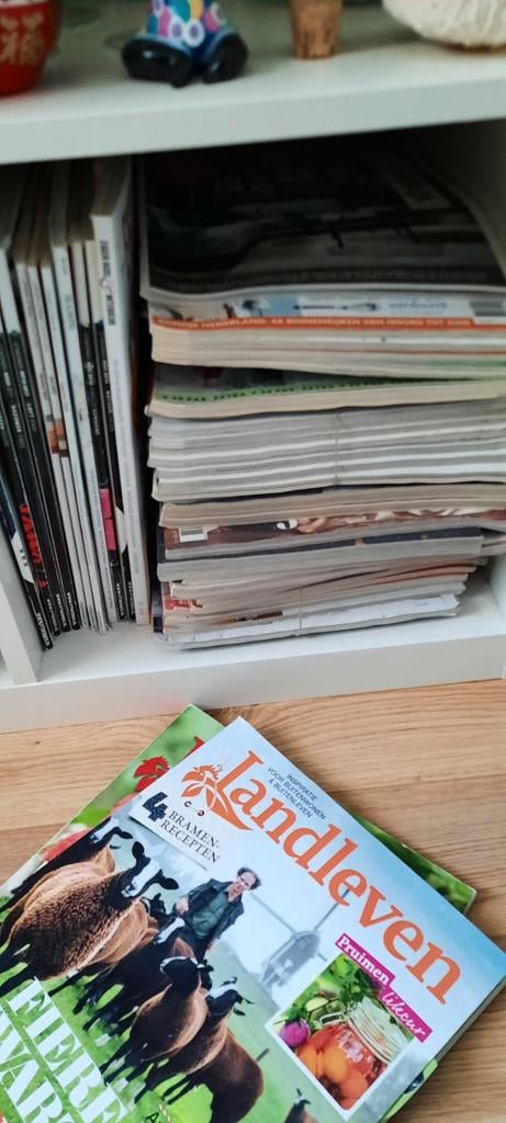 Veel woon-tijdschriften.o.a. Ariadne At Home/VT Wonen enz., Ophalen, 1980 tot heden, Tijdschrift