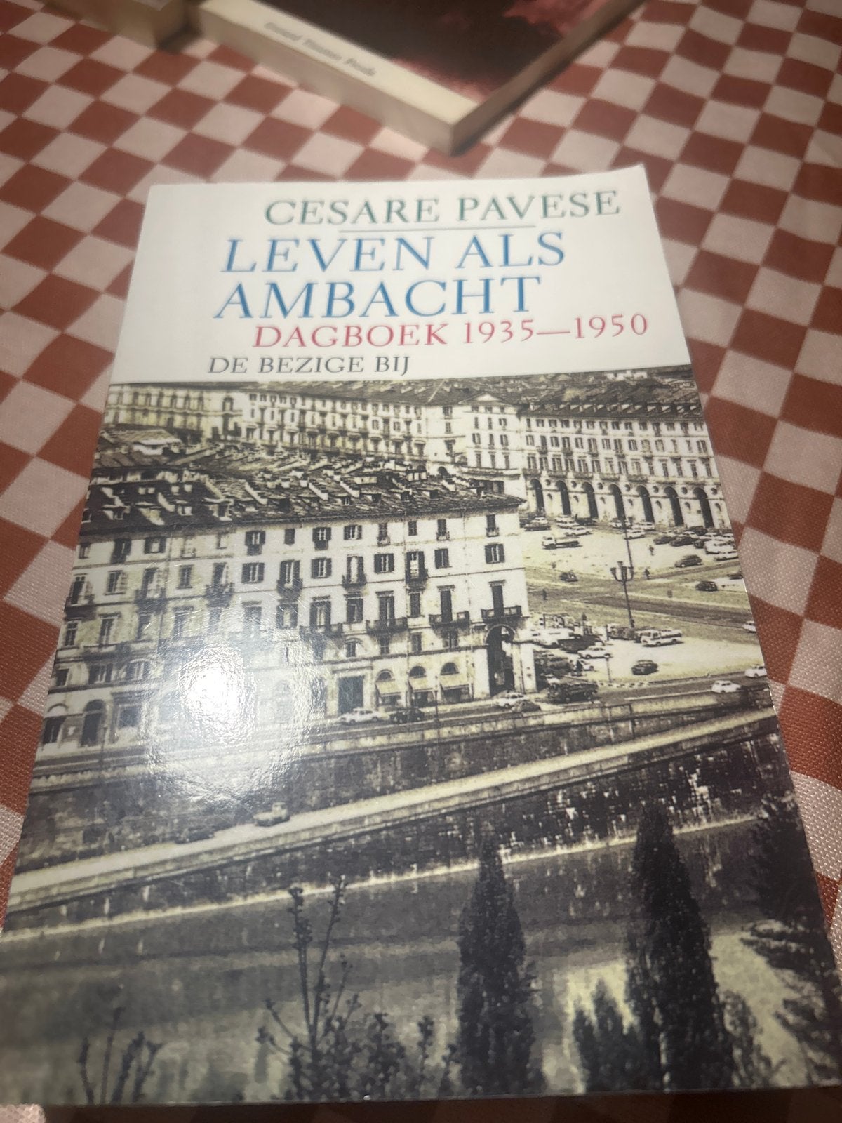 Leven als Ambacht - Cesare Pavese Dagboek 1935-1950, Boeken, Ophalen of Verzenden, Gelezen, Europa overig