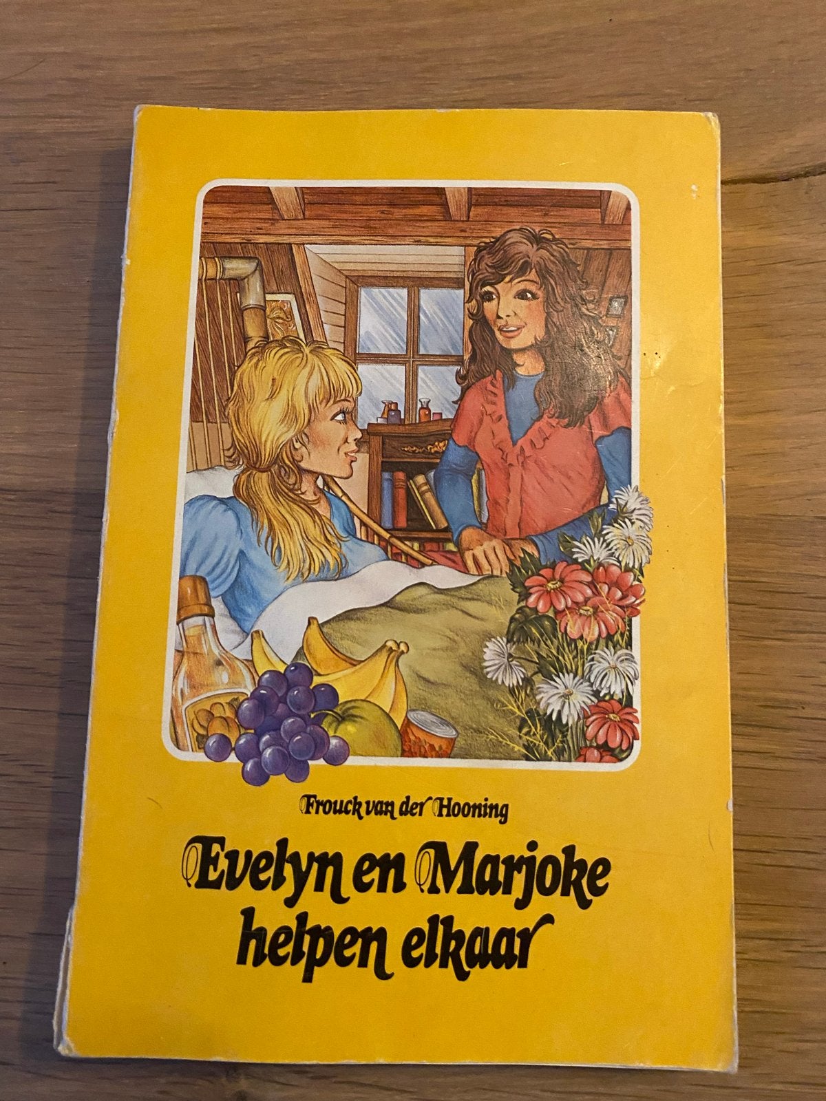 Evelyn en Marjoke helpen elkaar - Frouck van der Ho, Ophalen of Verzenden, Gelezen, Fictie algemeen