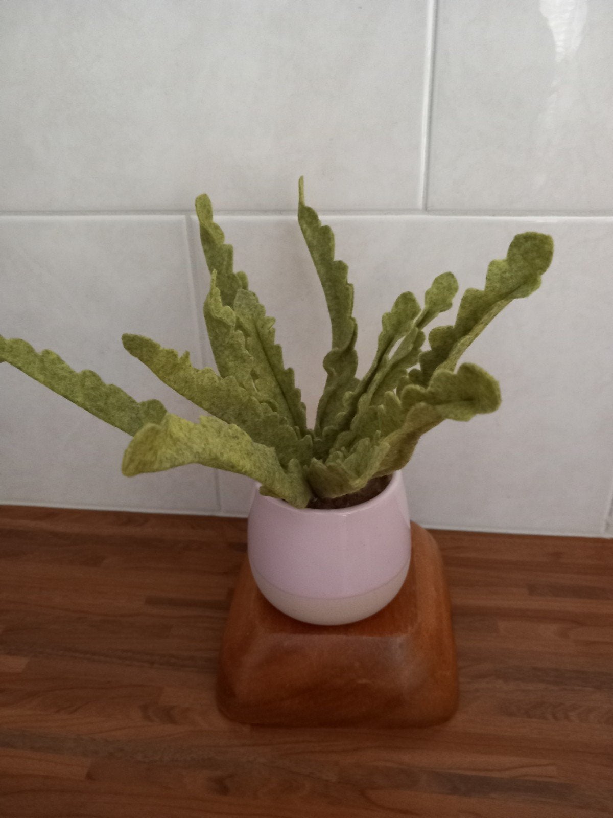 Krulvaren van vilt in roze pot - Kant en klaar, Volledige schaduw, Overige soorten, Ophalen of Verzenden, In pot