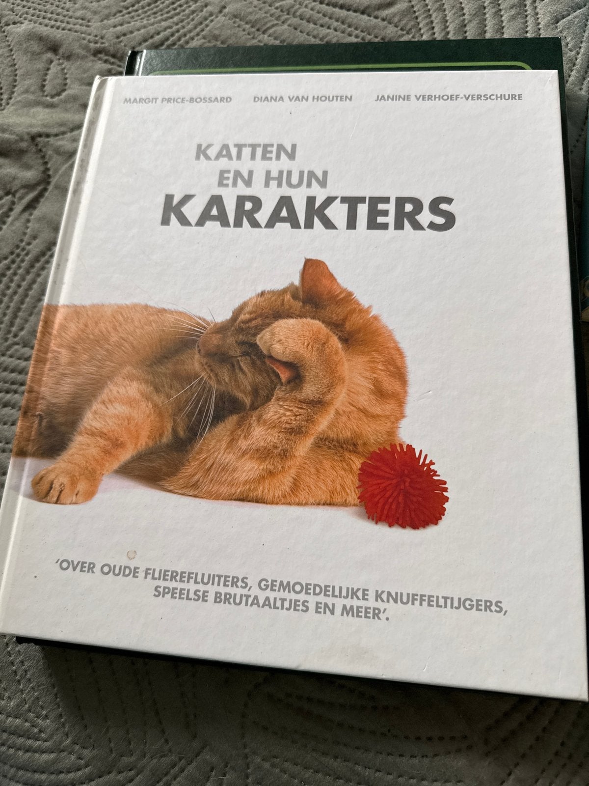 Katten en hun Karakters - Boek over kattengedrag, Ophalen of Verzenden, Gelezen, Katten