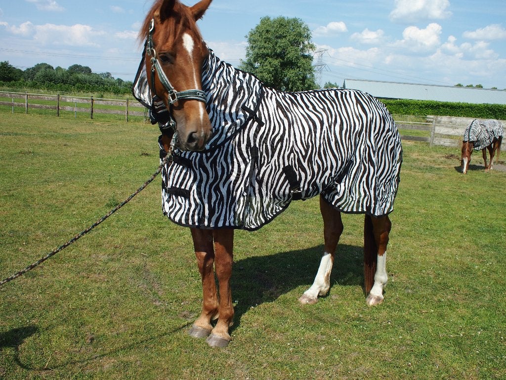 Nieuwe Zebra Vliegendeken met afneembare hals Maat 185, Overige merken, Cob (M), Vliegendeken, Nieuw