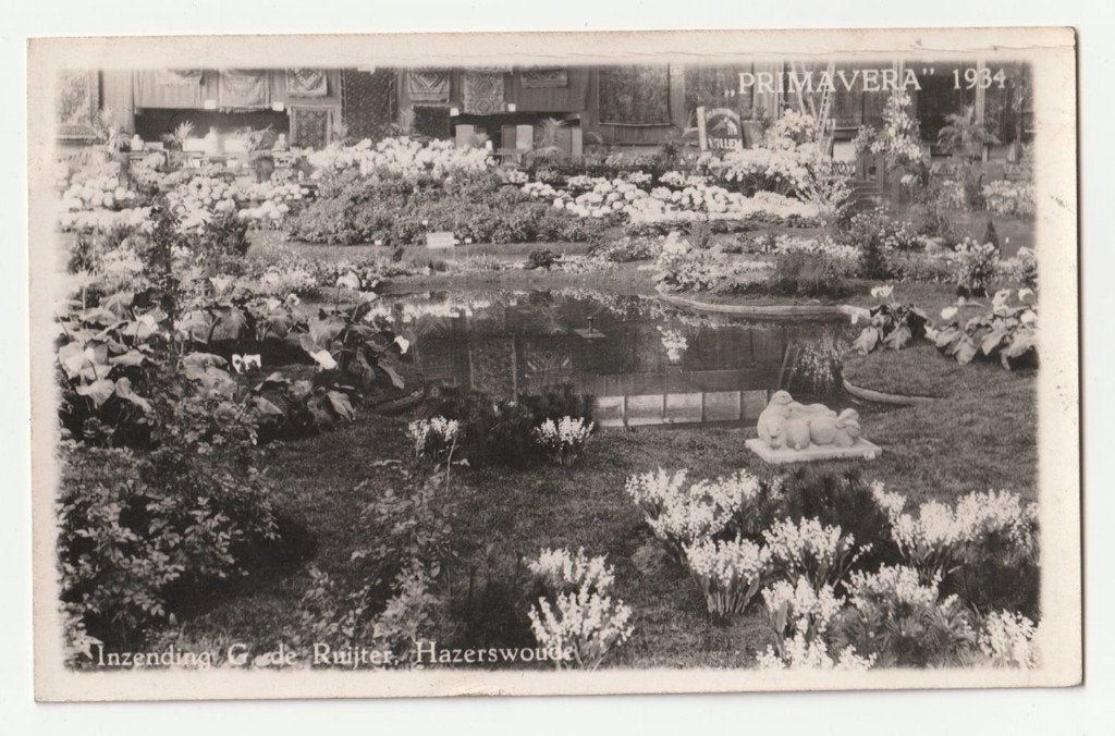 Primavera 1934 Rotterdam G. de Ruijter Hazerswoude bloemen, Verzamelen, Verzenden, 1920 tot 1940, Gelopen, Zuid-Holland