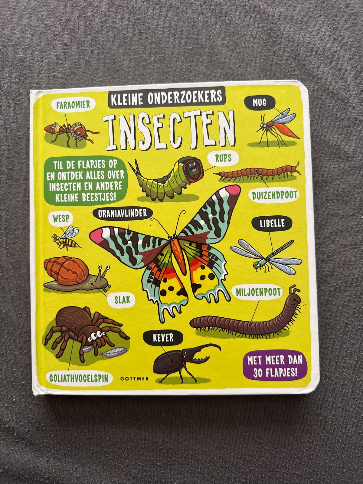 Kleine Onderzoekers: Insecten - Ontdekboek met Flapjes, Boeken, Kinderboeken | Baby's en Peuters, Zo goed als nieuw, 3 tot 4 jaar
