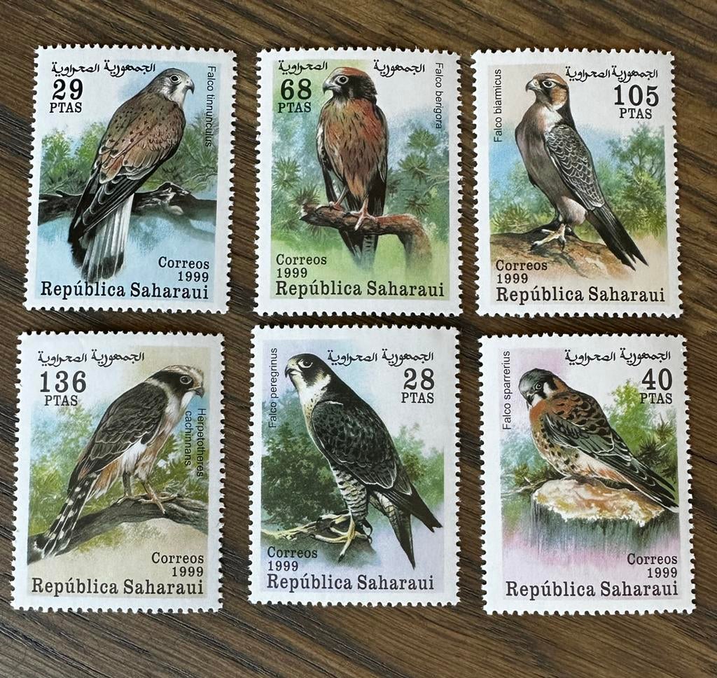 Westelijke Sahara 1999 - Roofvogels vogels valken set, Ophalen of Verzenden, Overige landen, Postfris