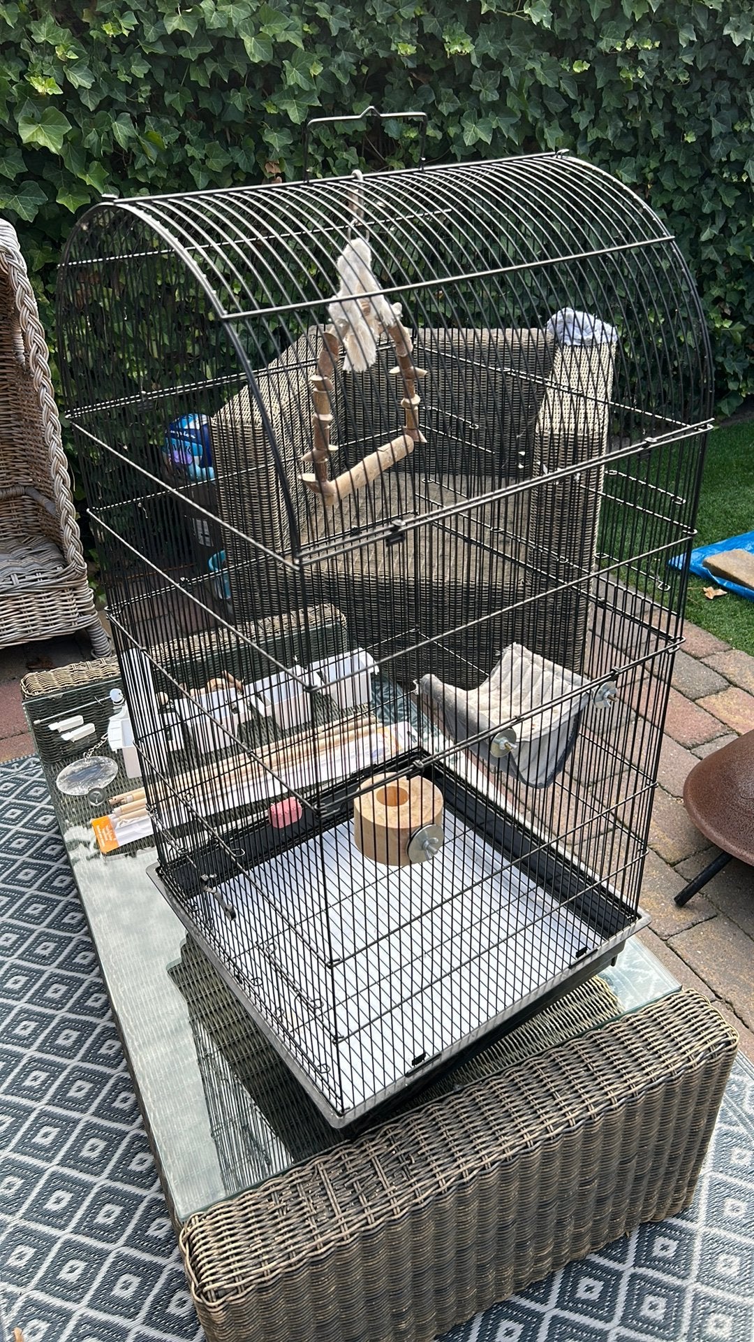 Kooi Inclusief accessoires, Ophalen of Verzenden, Zo goed als nieuw, Metaal, Vogelkooi