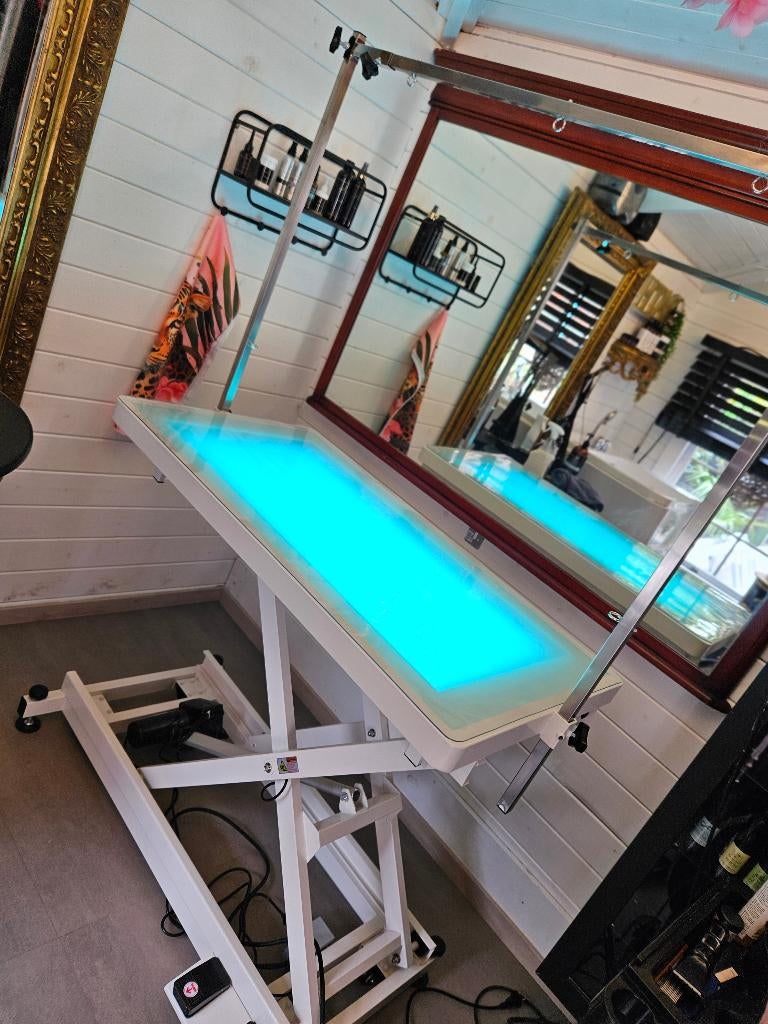 Elektrisch verstelbare trimtafel met verlichting, Dieren en Toebehoren, Ophalen, Zo goed als nieuw