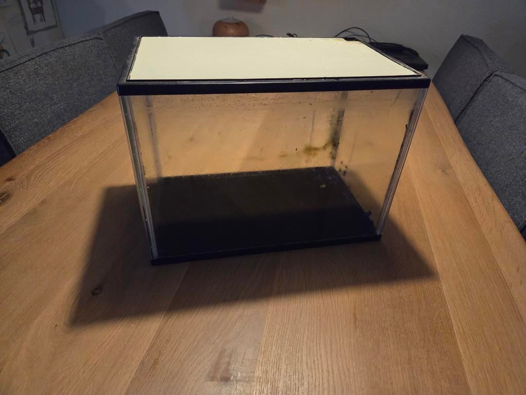 Aquarium l x b x h: 36 x 22 x 26 met deksel, Ophalen, Zo goed als nieuw, Leeg aquarium