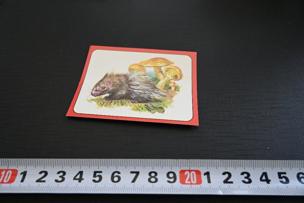 sticker panini baby zoo # 90 strip stekelvarken, Ophalen, Zo goed als nieuw