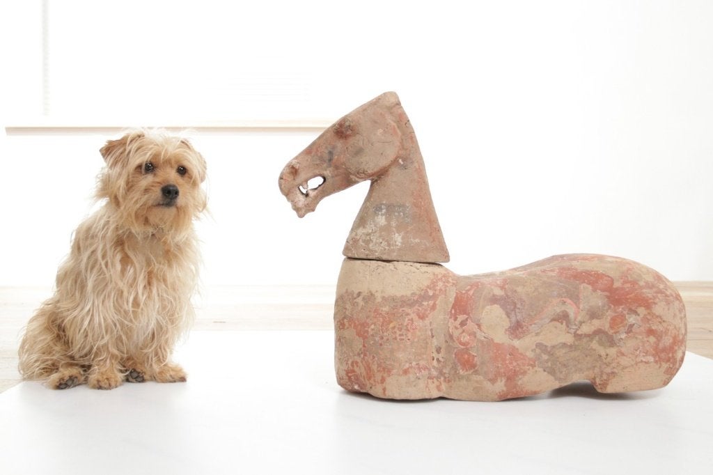 Chinees aardewerk paard met losse kop – Han-stijl terracotta, Ophalen, Zoogdier, 20 - 50 cm, Steen of Keramiek