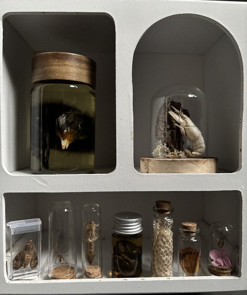 Wit Rariteiten kastje, Ophalen of Verzenden, Beeldje of Figuurtje