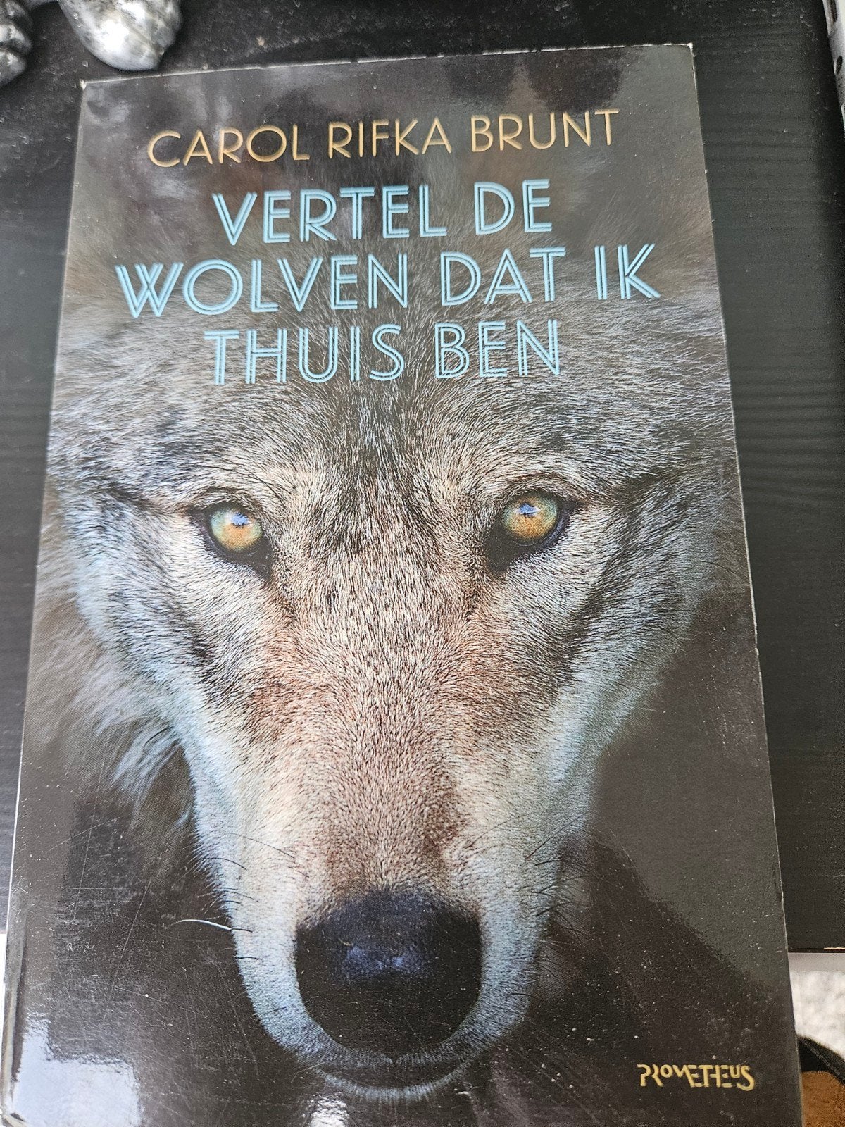 Vertel de wolven dat ik thuis ben - Carol Rifka Brunt, Ophalen of Verzenden, Gelezen, Carol Rifka Brunt, Nederland