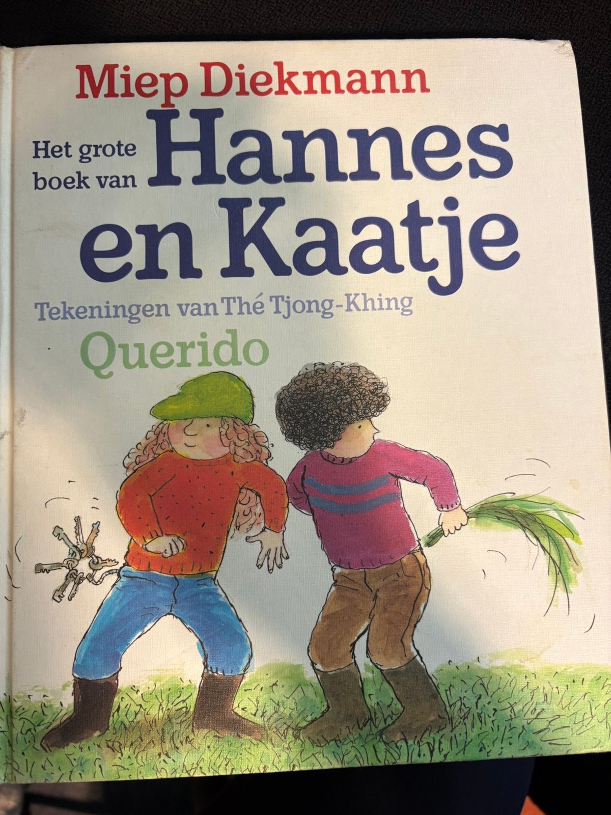 Hannes en Kaatje van Miep Diekmann, Ophalen of Verzenden, Gelezen, Fictie algemeen