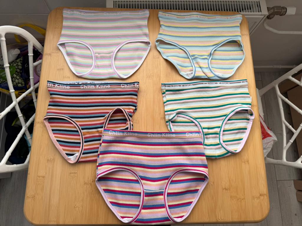 Dames onderbroeken / slipjes maat L, Kleding | Dames, Ondergoed en Lingerie, Ophalen of Verzenden