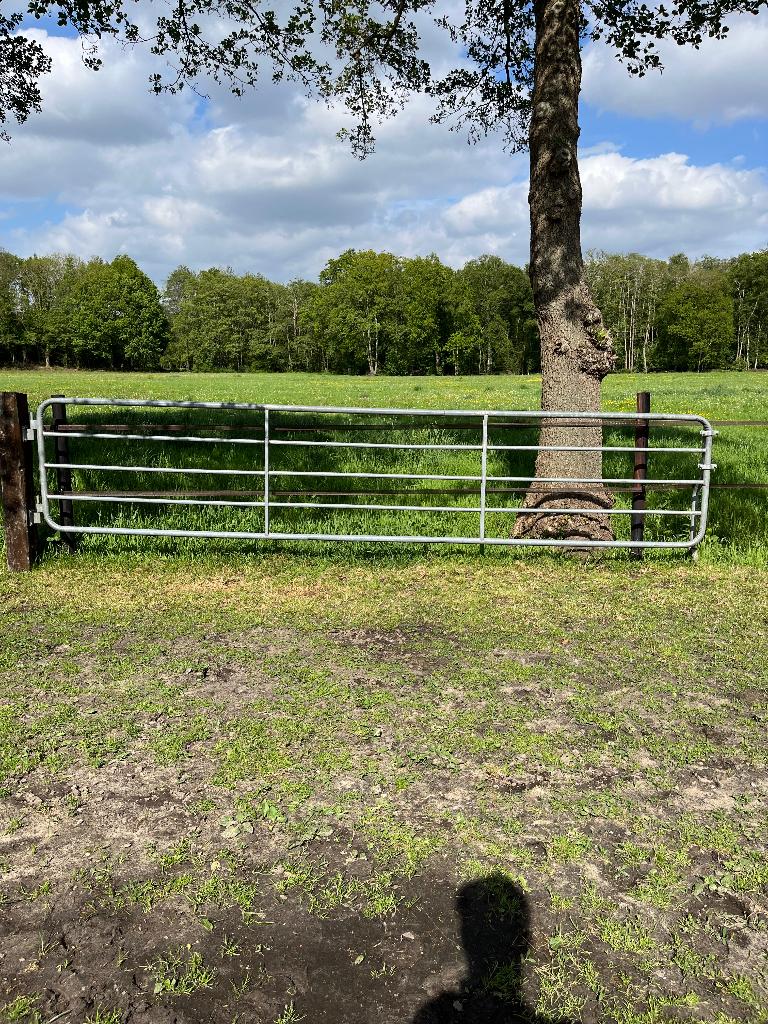 Weidehek 5.00 meter gegalvaniseerd, Weidegang, 4 paarden of pony's of meer