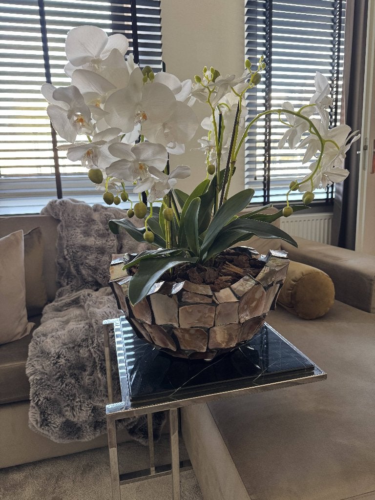 Schelpenvaas met orchideeën, Ophalen, Gebruikt, Zijde, Wit