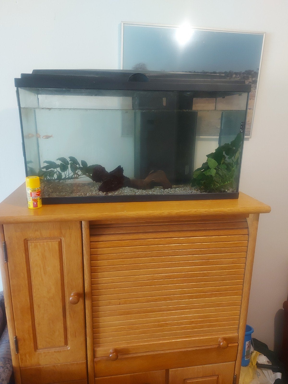Groot aquarium te koop bieden....Ophalen in duiven, Dieren en Toebehoren, Ophalen, Gevuld zoetwateraquarium