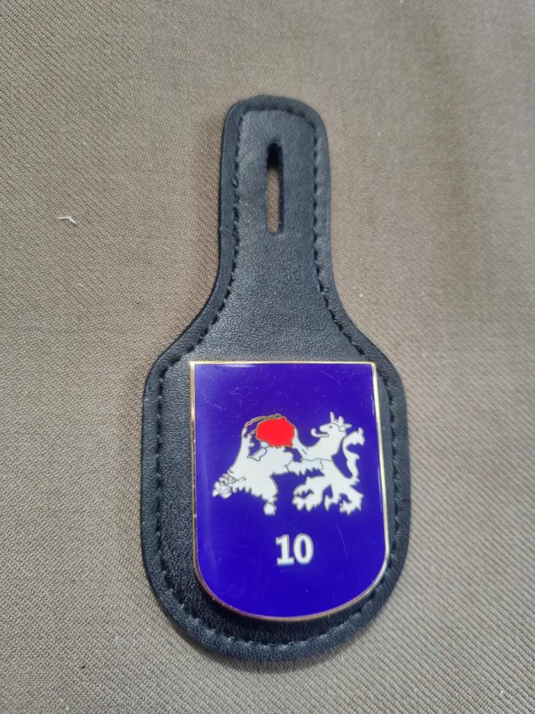 Borstzakhanger 10 NATRESBAT, Verzamelen, Ophalen of Verzenden, Landmacht, Nederland, Embleem of Badge