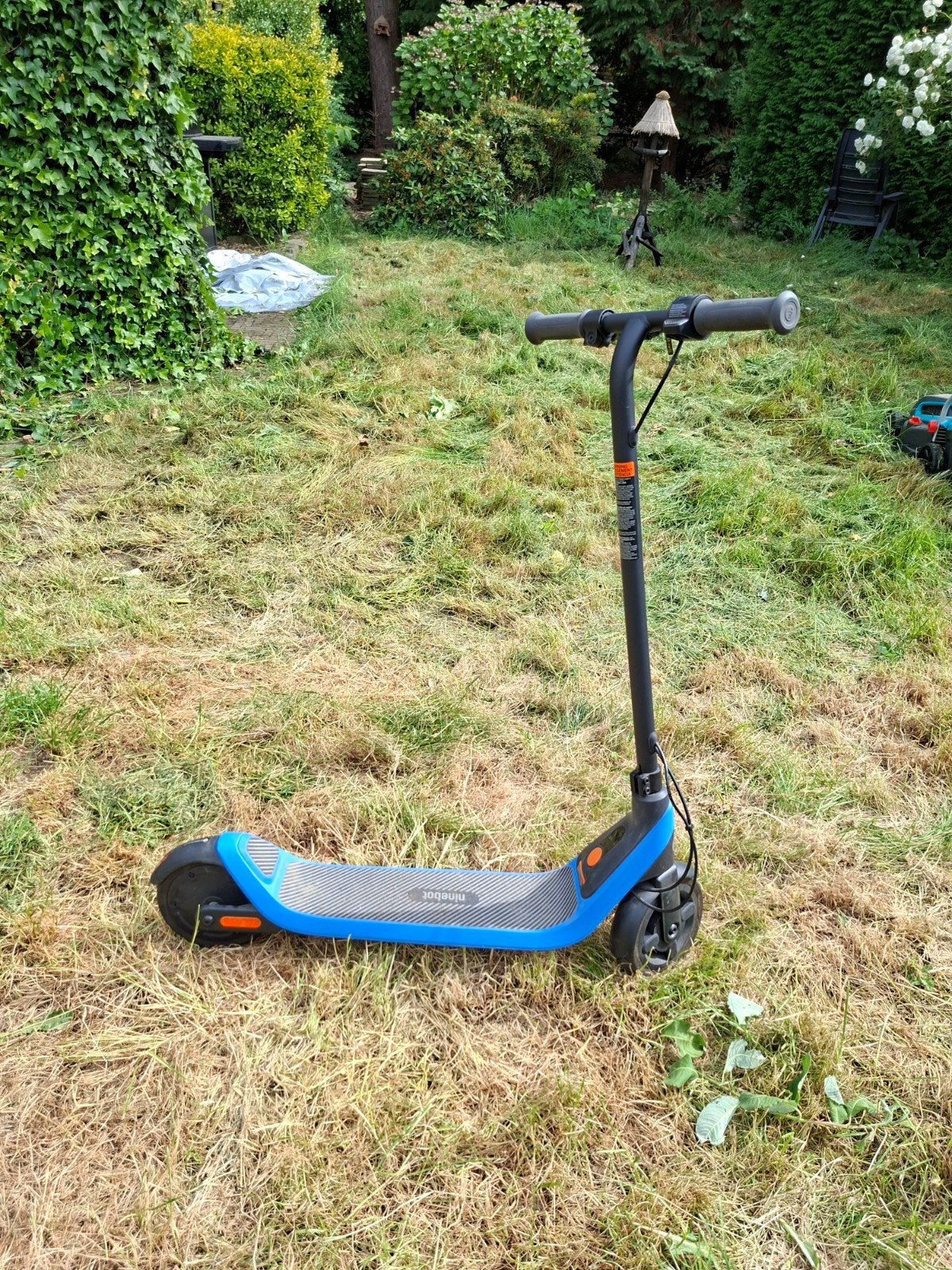 Ninebot elektrische step (E-scooter), Ophalen