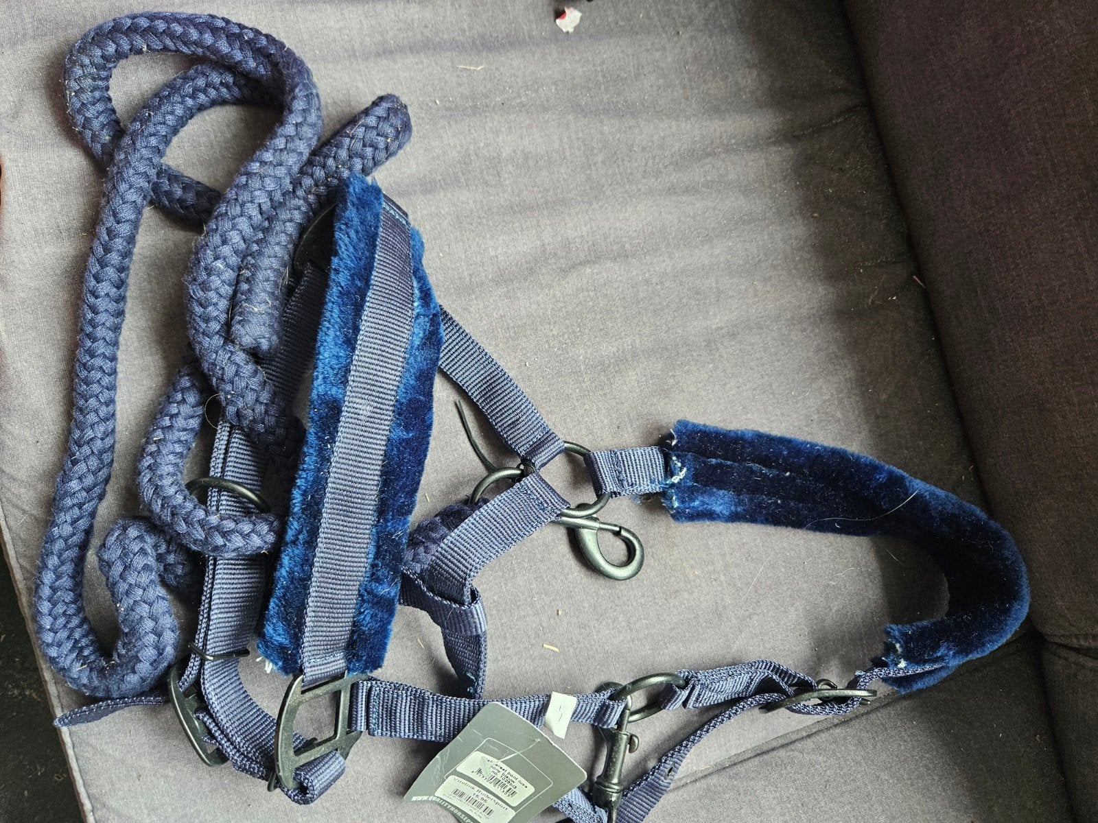 Te koop halster set. kleur blauw, Overige disciplines, Ophalen of Verzenden, Blauw, Halster