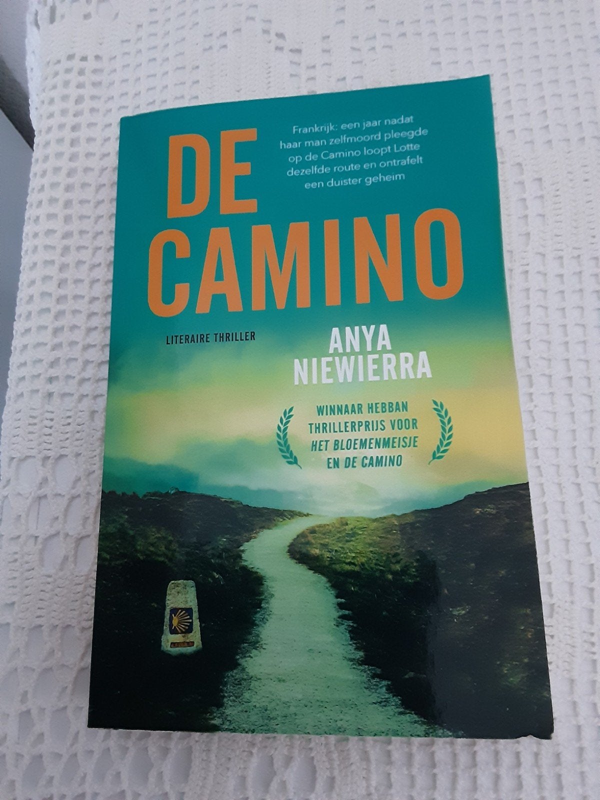 Boek DE CAMINO., Ophalen of Verzenden
