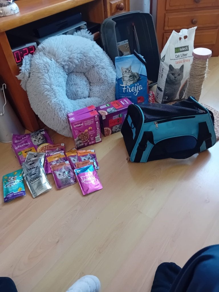 katten spullen, Dieren en Toebehoren, Ophalen, Zo goed als nieuw