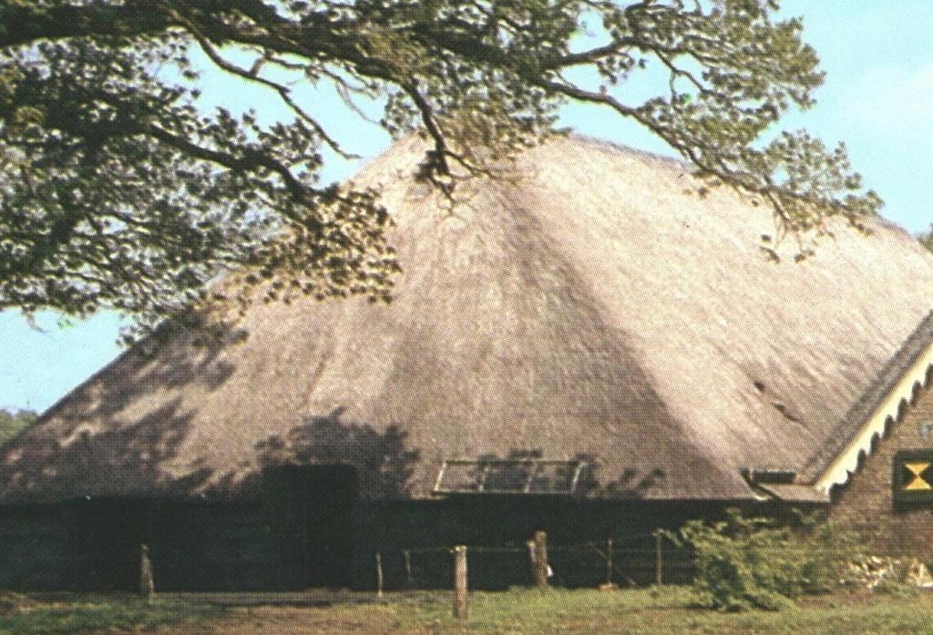 993273 Den Ham 80+ Ov Erven Nevenzeel Postzegel afgeweekt, Ophalen of Verzenden, 1980 tot heden, Gelopen, Overijssel