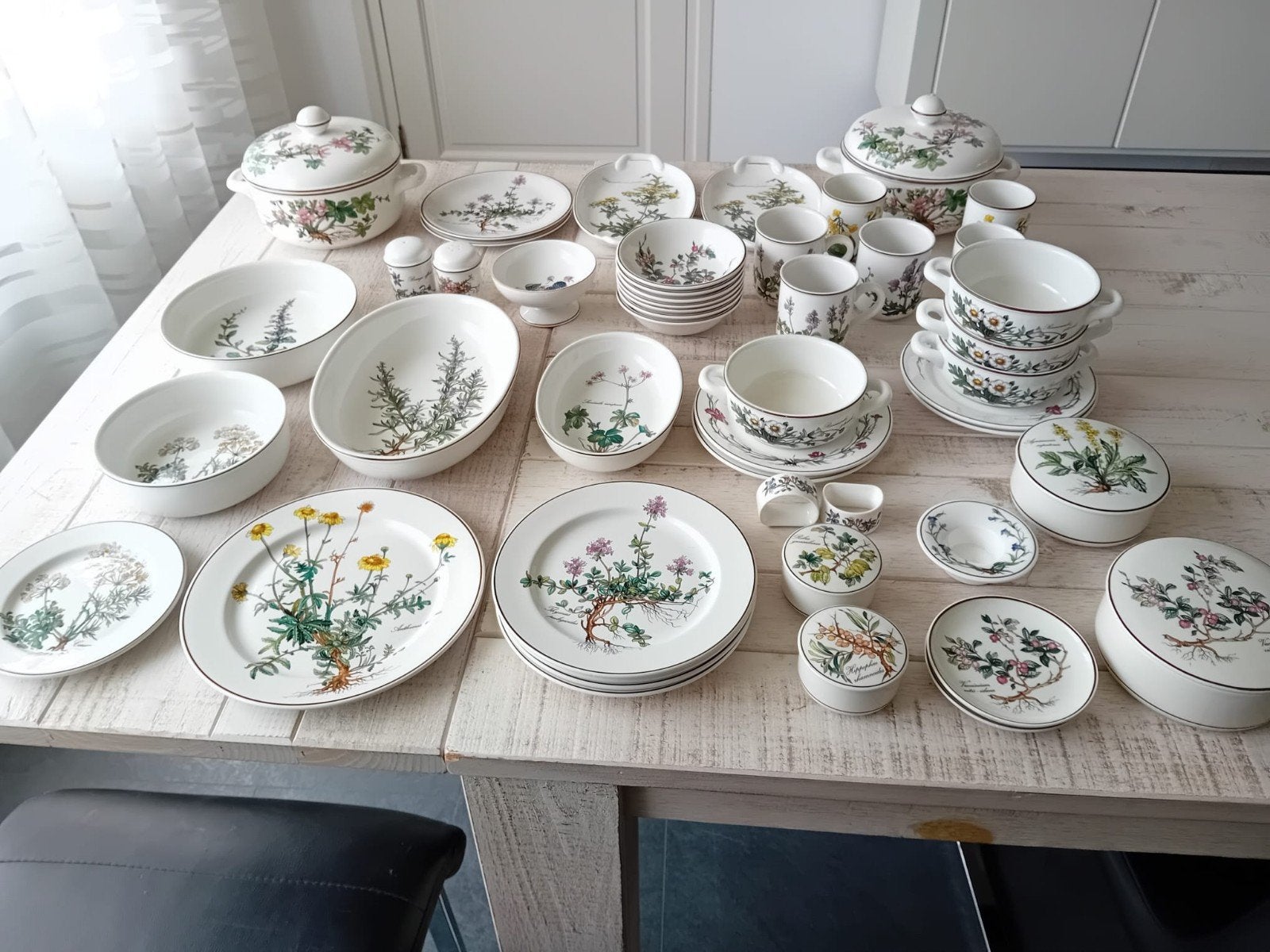 Compleet Villeroy & Boch Botanica servies., Ophalen of Verzenden, Porselein, Overige stijlen, Compleet servies