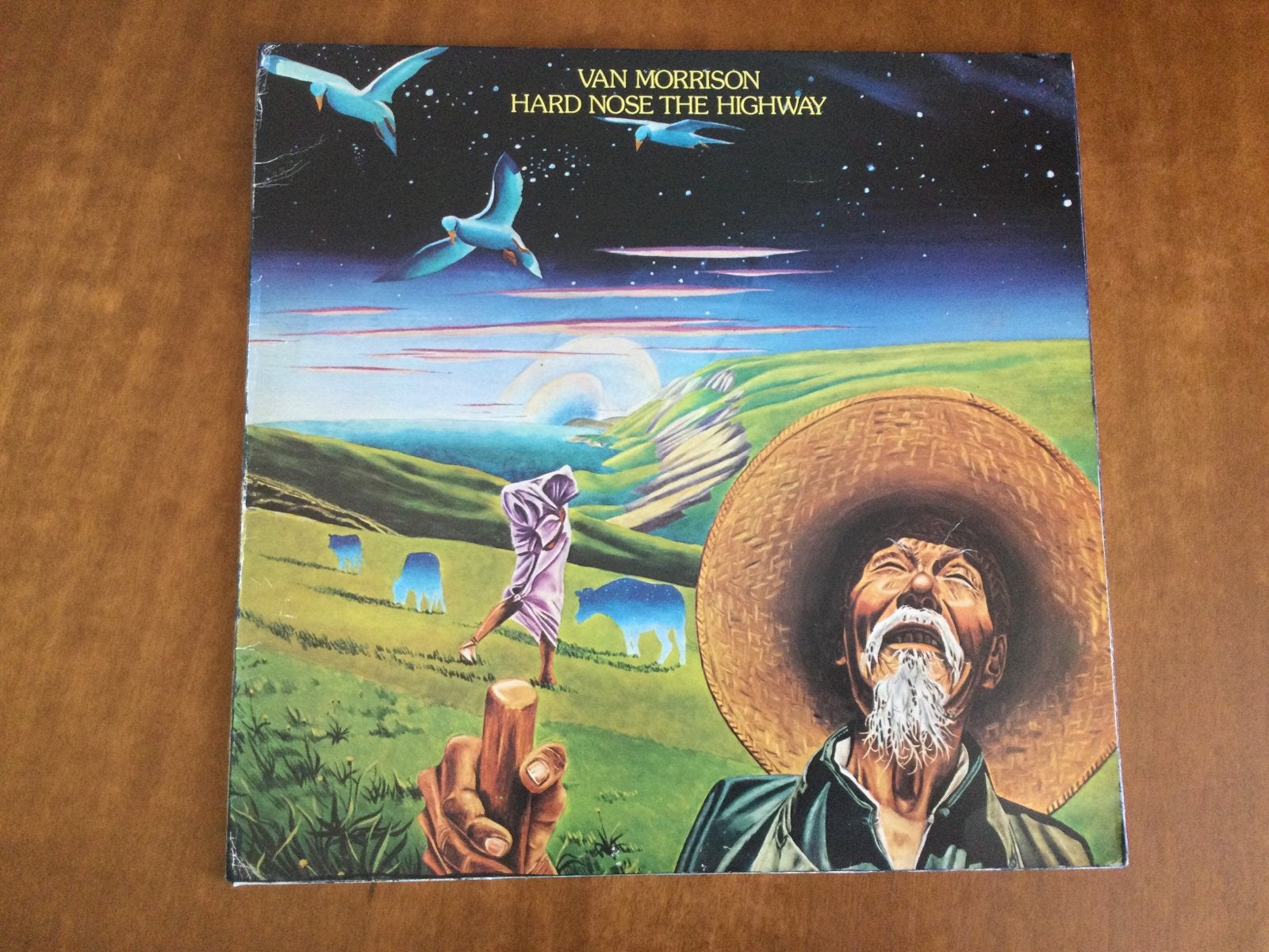 LP Van Morrison, Ophalen of Verzenden, Gebruikt, 12 inch, Singer-songwriter