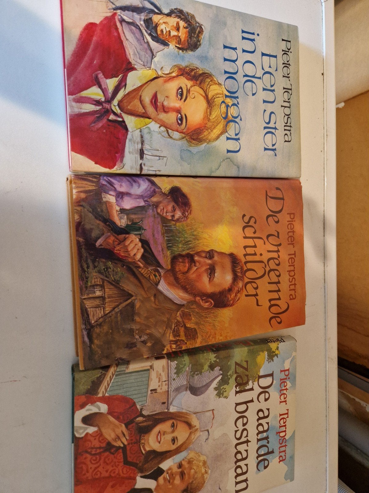 Pieter Terpstra Boeken, Ophalen of Verzenden, Gelezen, Pieter Terpstra, Nederland