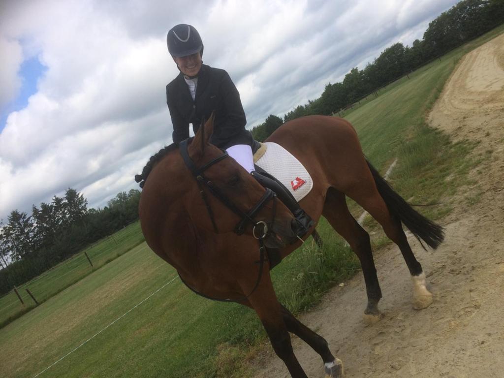 Bijrijder aangeboden verzorgpaard/pony gezocht, Ophalen of Verzenden, Nieuw