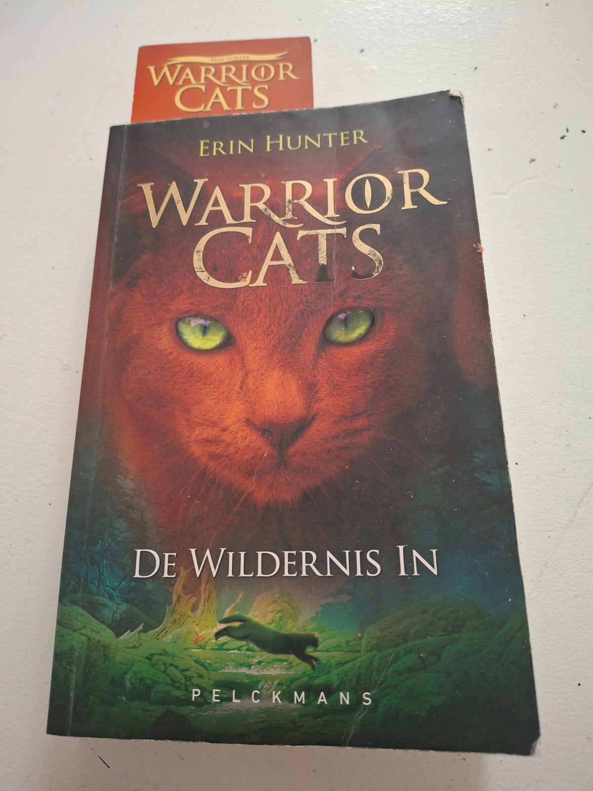 Warrior Cats: De Wildernis In - Erin Hunter, Ophalen of Verzenden, Zo goed als nieuw, Erin Hunter, Fictie