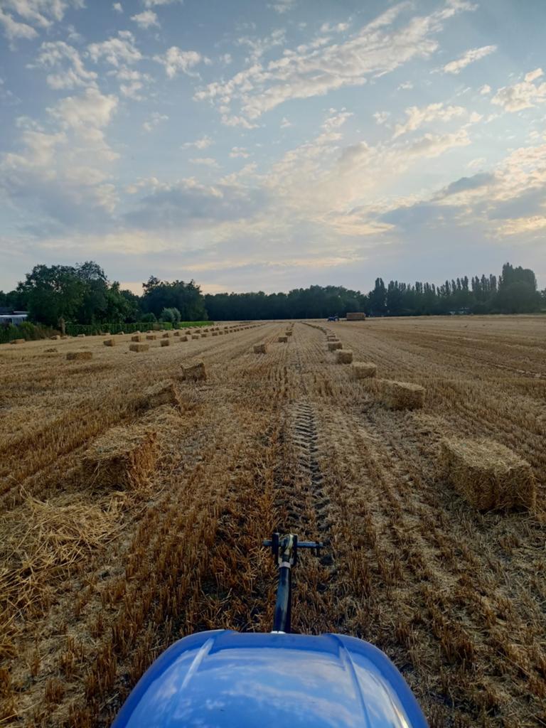 Kleine pakjes tarwestro, Dieren en Toebehoren
