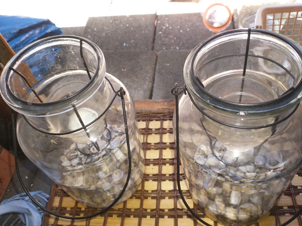 twee lantaarns, met schelpen, Ophalen, Lantaarn, 40 cm, Glas
