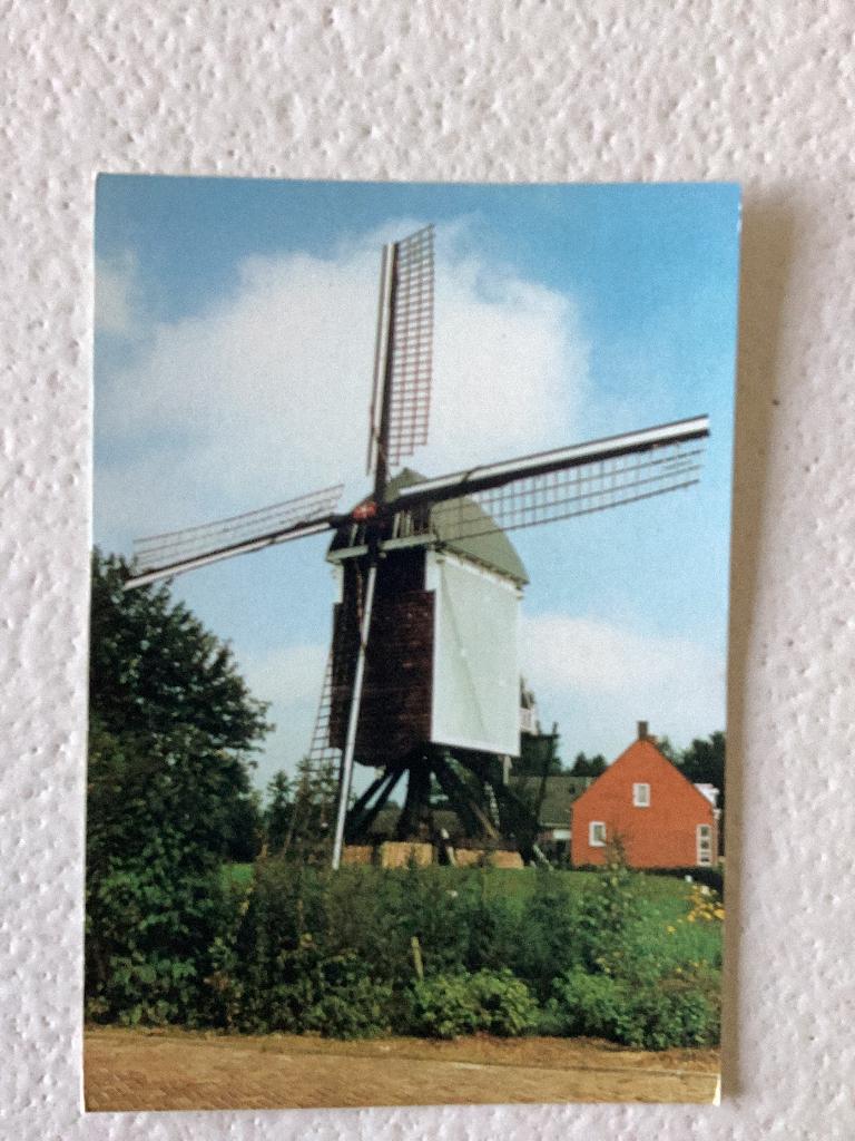 Ansichtkaarten Zundert, Verzamelen, Ophalen of Verzenden, 1960 tot 1980, Ongelopen, Noord-Brabant
