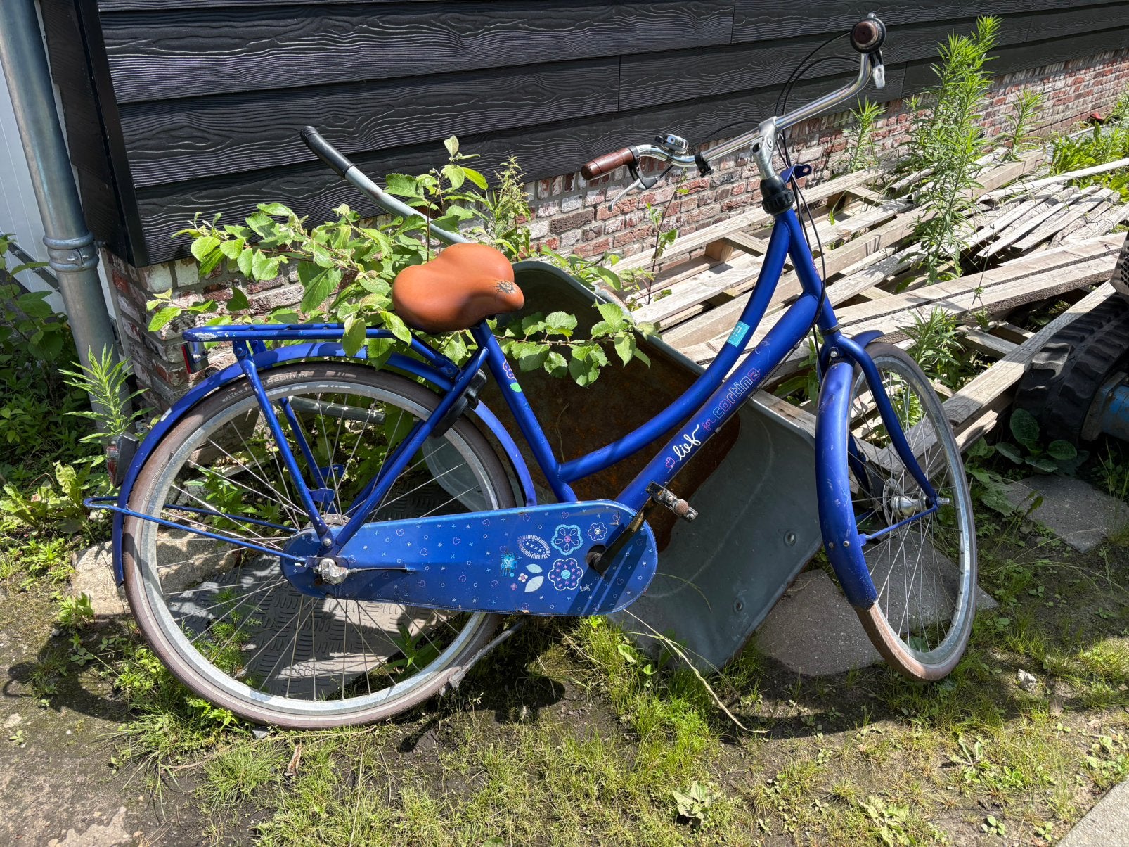 Cortina lief kobalt blauwe fiets, Ophalen, Zo goed als nieuw, 26 inch of meer, Versnellingen