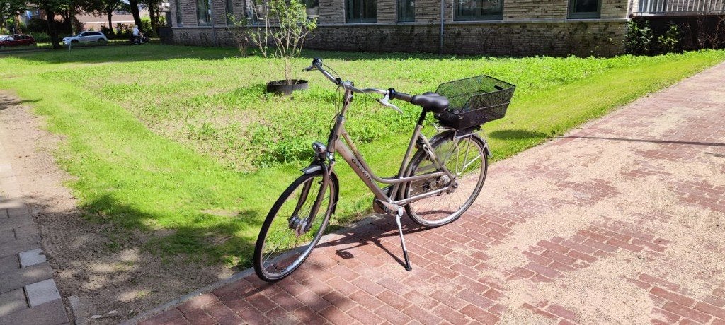 Gazelle Davos damesfiets met fietsmand, Fietsen en Brommers, Fietsen | Dames | Damesfietsen, Ophalen, Versnellingen, Schijfrem