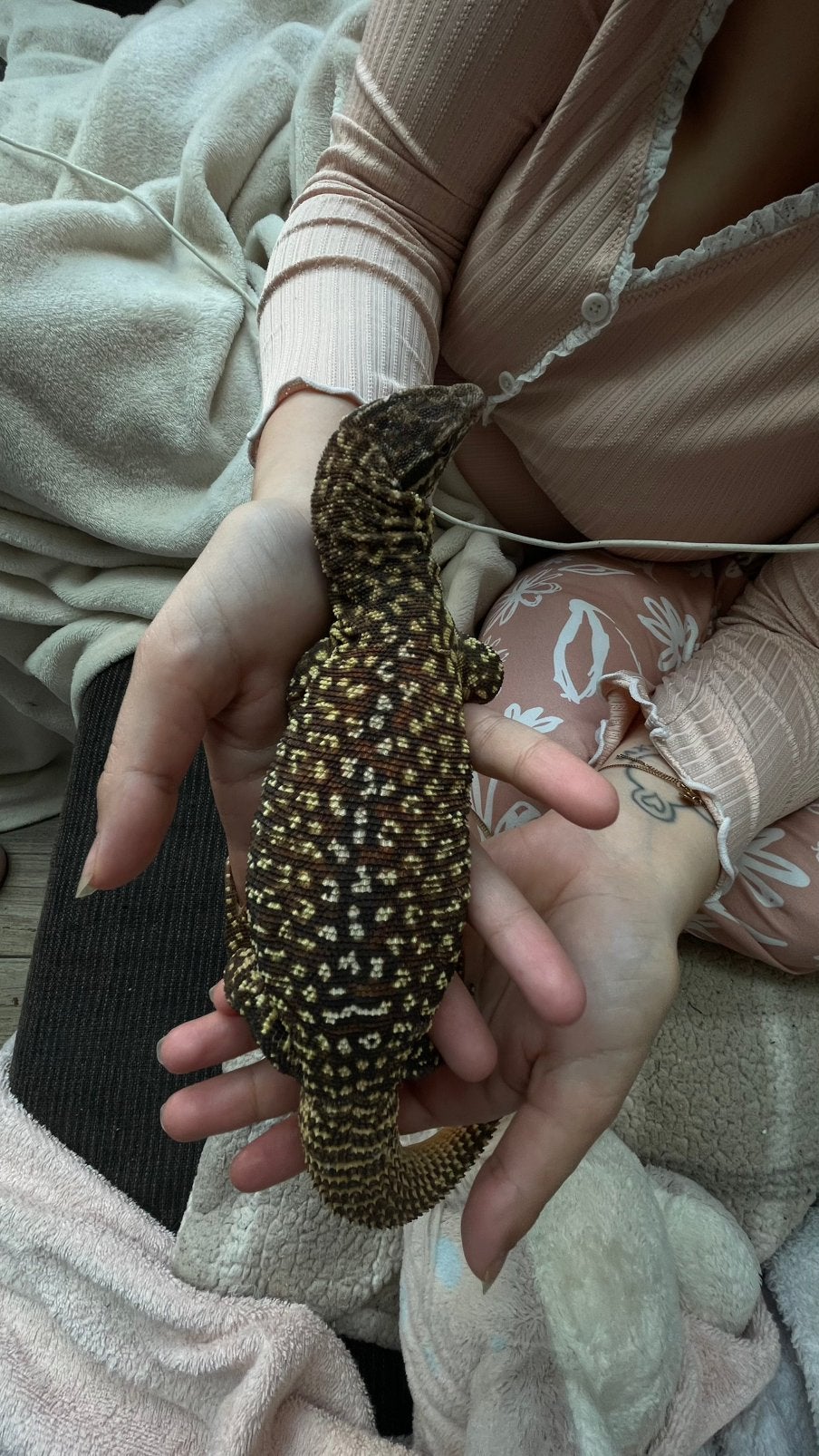 Varanus acunthurus Monitor Lizard photo 2