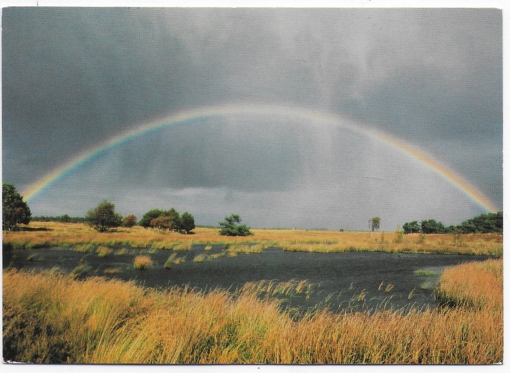 Nederland regenboog gelopen Ansichtkaart (B2507 ), Ophalen of Verzenden, 1980 tot heden, Gelopen