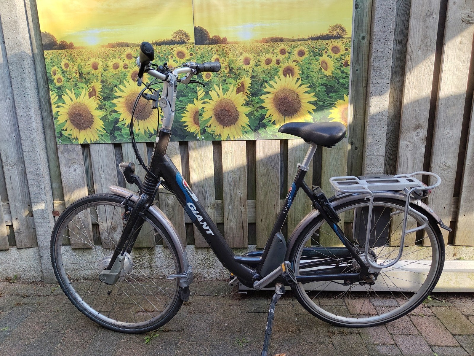Giant Twist elektrische fiets met oplader en 3 accu's, Fietsen en Brommers, Ophalen, Minder dan 30 km per accu, Gebruikt, Giant