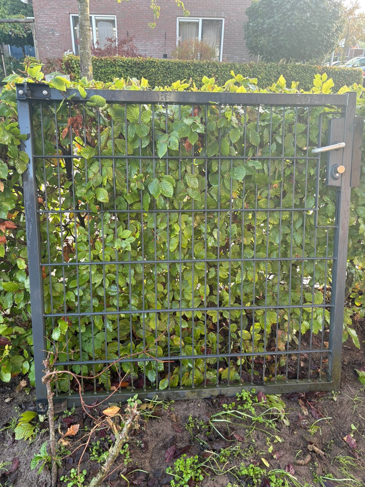 Tuinhek ijzer enkele deur, Ophalen, Met poort, Zo goed als nieuw, Tuinhek