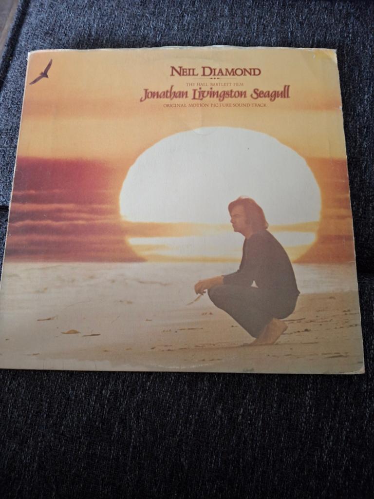 LP Neil Diamond - Jonathan Livingston Seagull, Cd's en Dvd's, Vinyl | Pop, Ophalen, Gebruikt, 12 inch