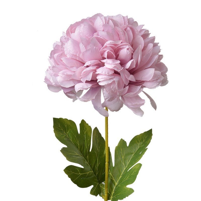 CLAYRE & EEF BOLCHRYSANT - KUNST - ROOD & LILAROZE