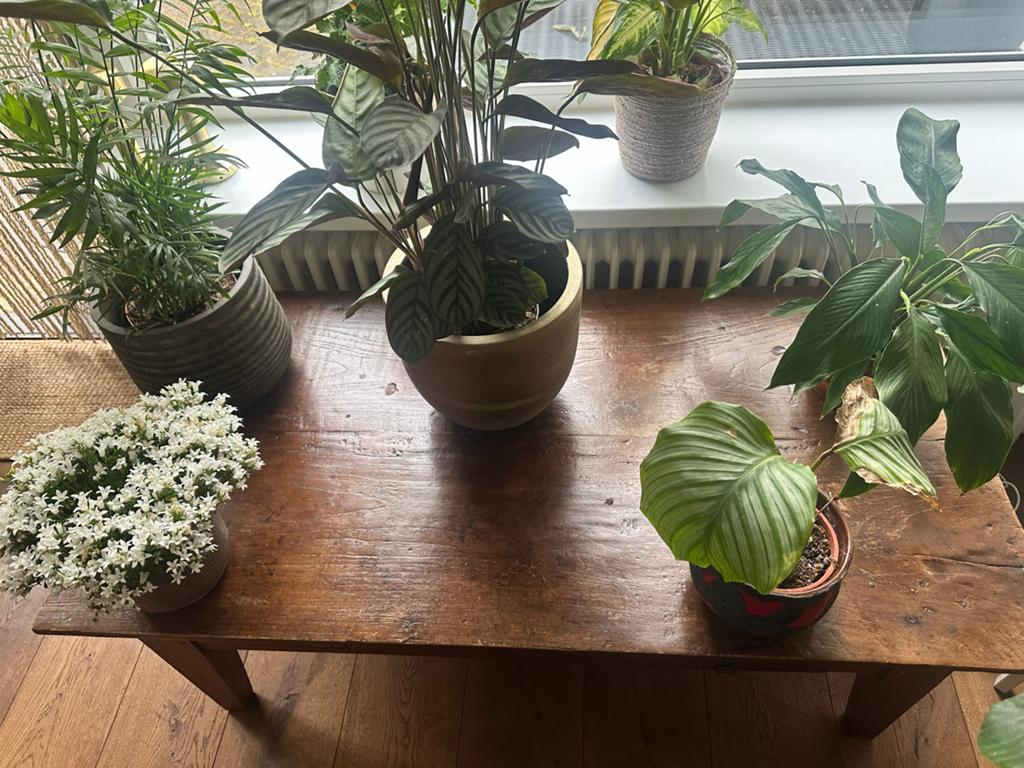 Koloniale houten salontafel met 2 lades - Landelijk/Vintage, Huis en Inrichting, Tafels | Salontafels, Ophalen, Gebruikt, 100 tot 150 cm
