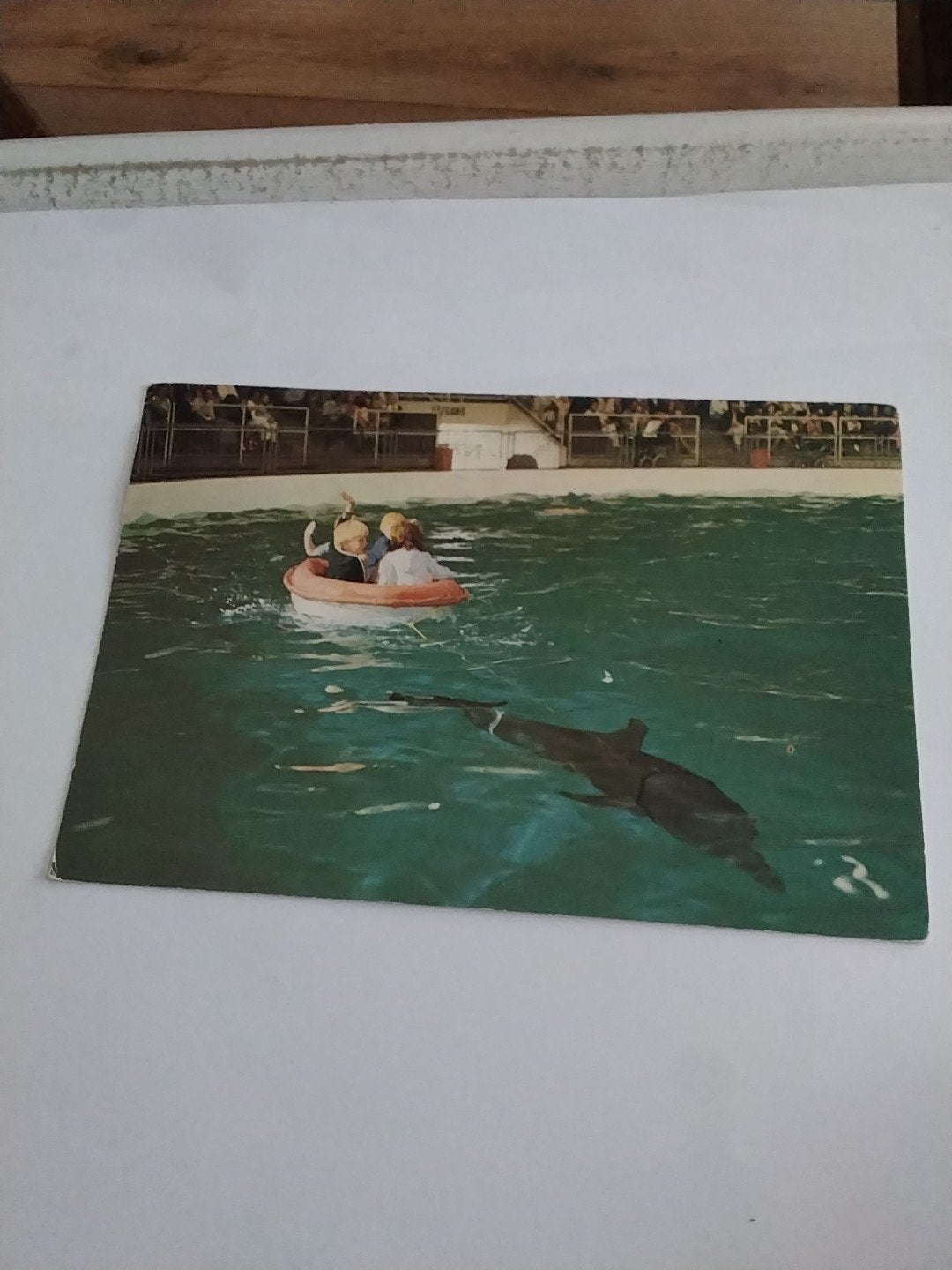 Oude Ansichtkaart Dolfinarium Harderwijk 1970, Ophalen of Verzenden