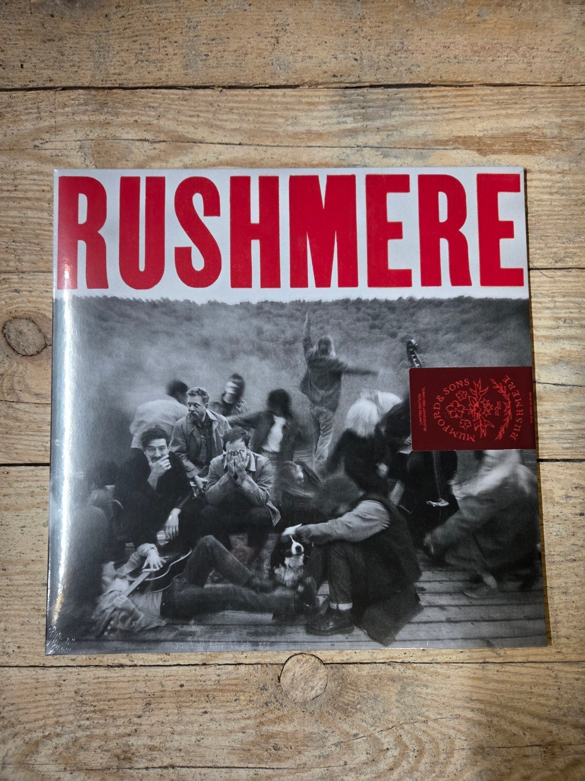 Mumford & sons rushmere sealed, Ophalen of Verzenden, Nieuw in verpakking, 12 inch, Poprock